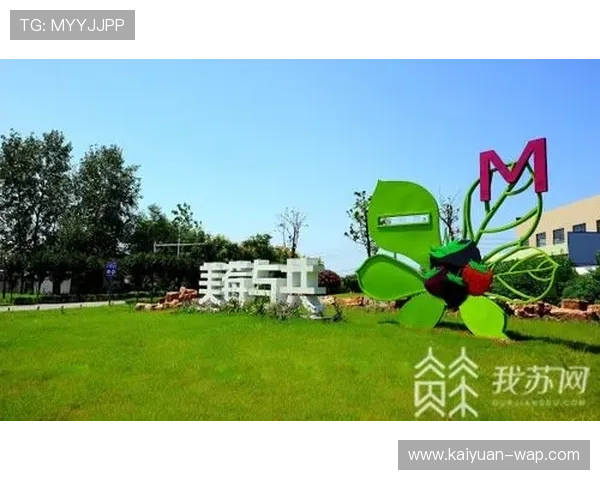 以兰兴为核心推动创新发展促进经济转型与区域协同发展新路径探索